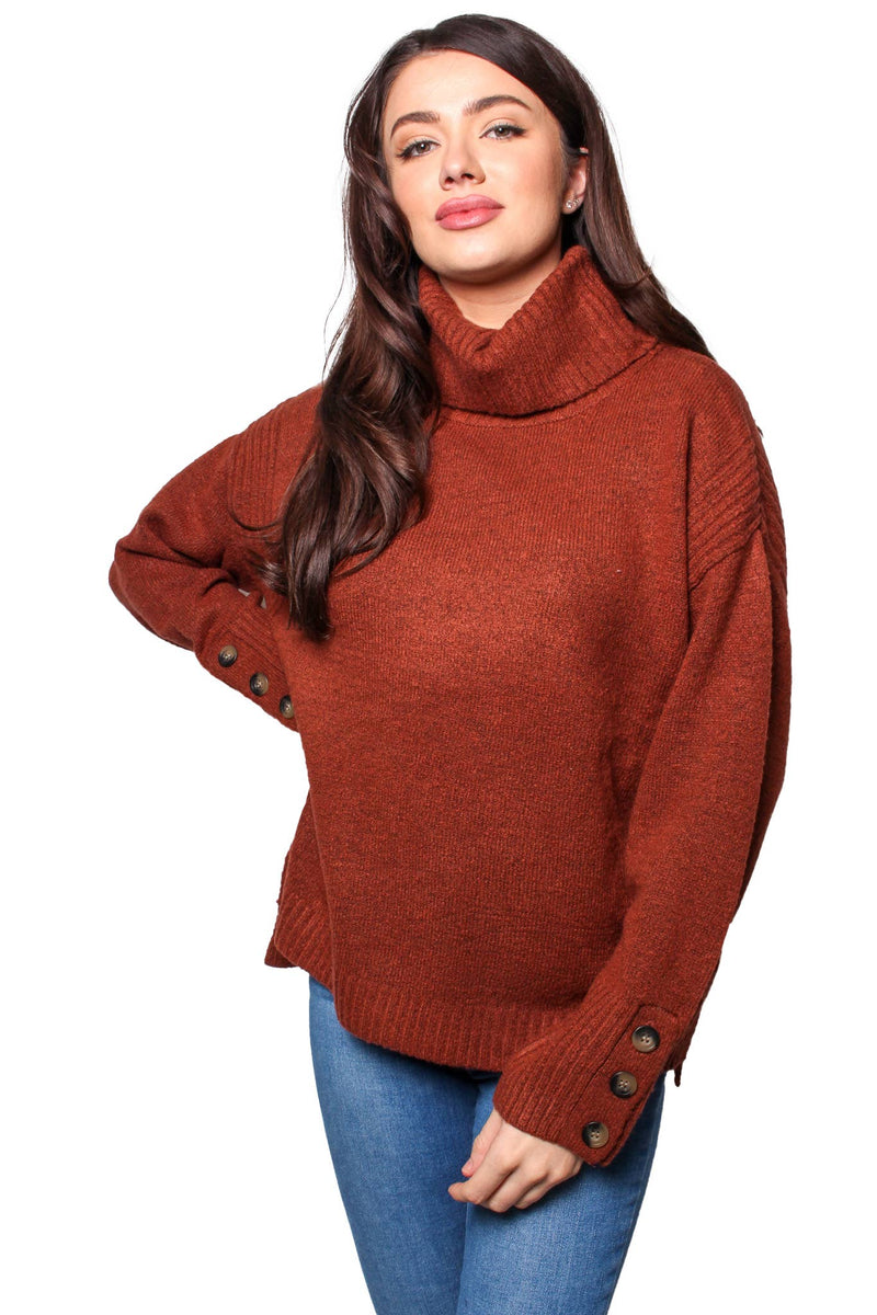 Henna Long Sleeves Cowl Neck Knitted Pullover Sweater